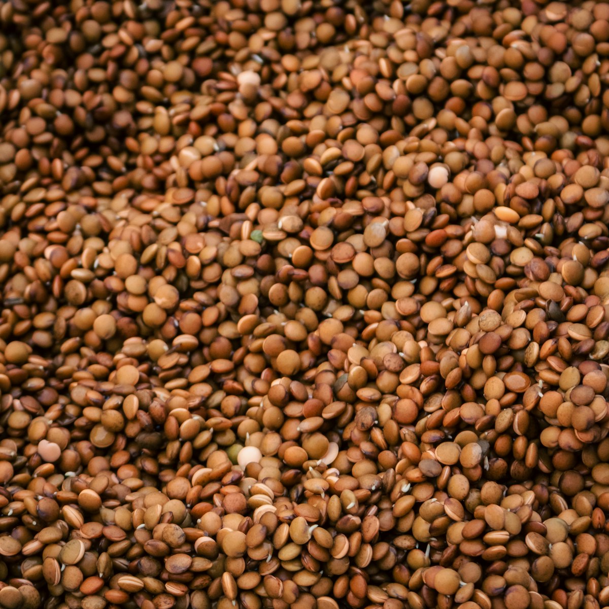 Gahat Horse Gram Dal — texture detail