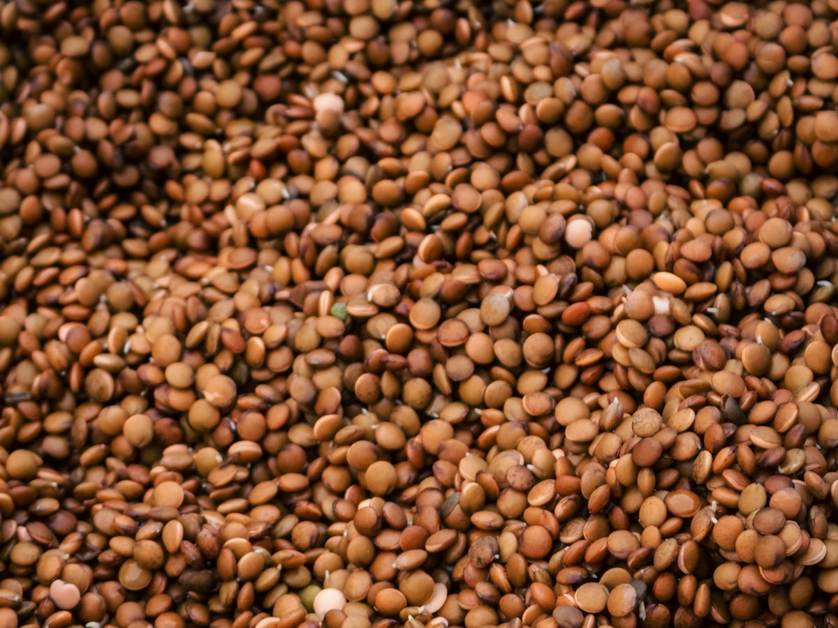 Gahat Horse Gram Dal — from above