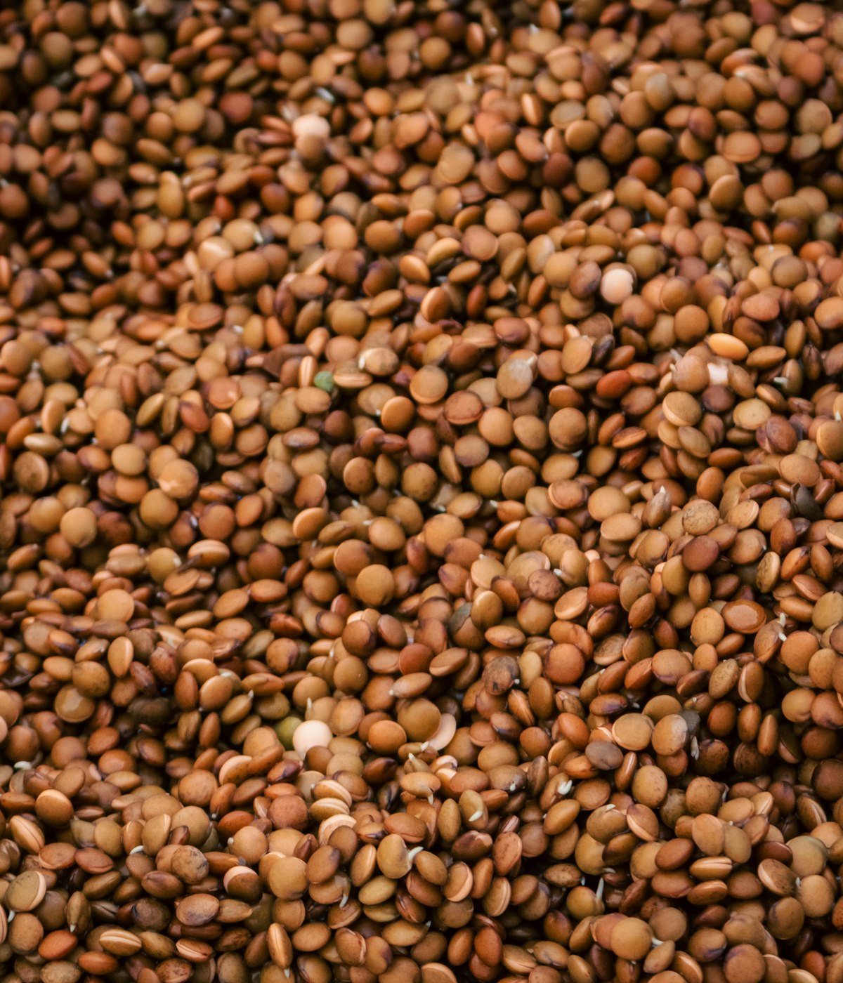 Gahat Horse Gram Dal — close crop