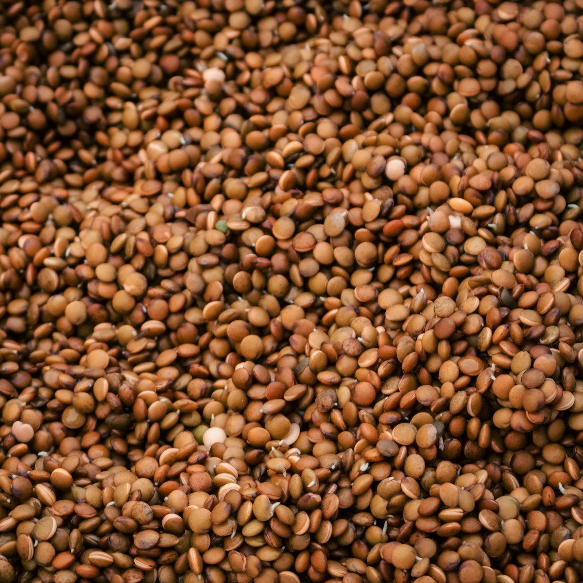 Gahat Horse Gram Dal — side view