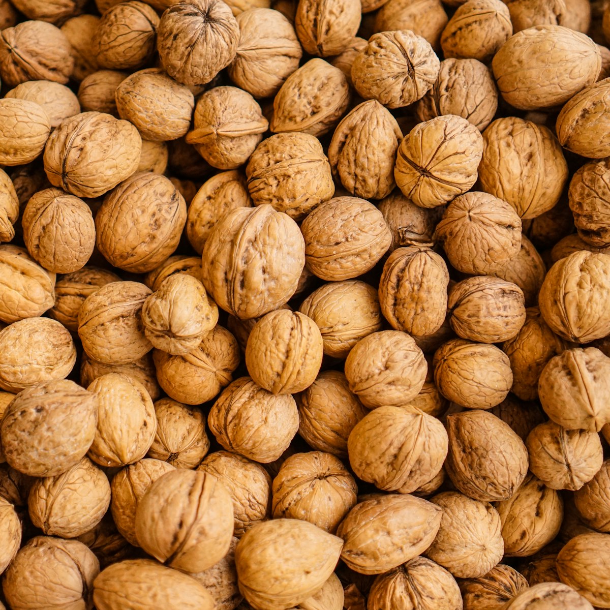 Paper-Shell Himalayan Walnuts — texture detail