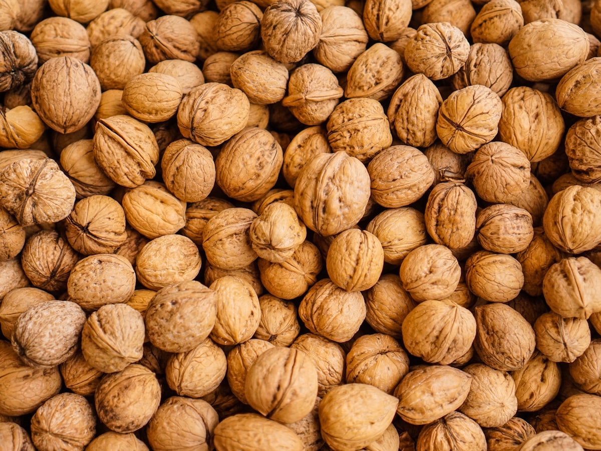 Paper-Shell Himalayan Walnuts — from above