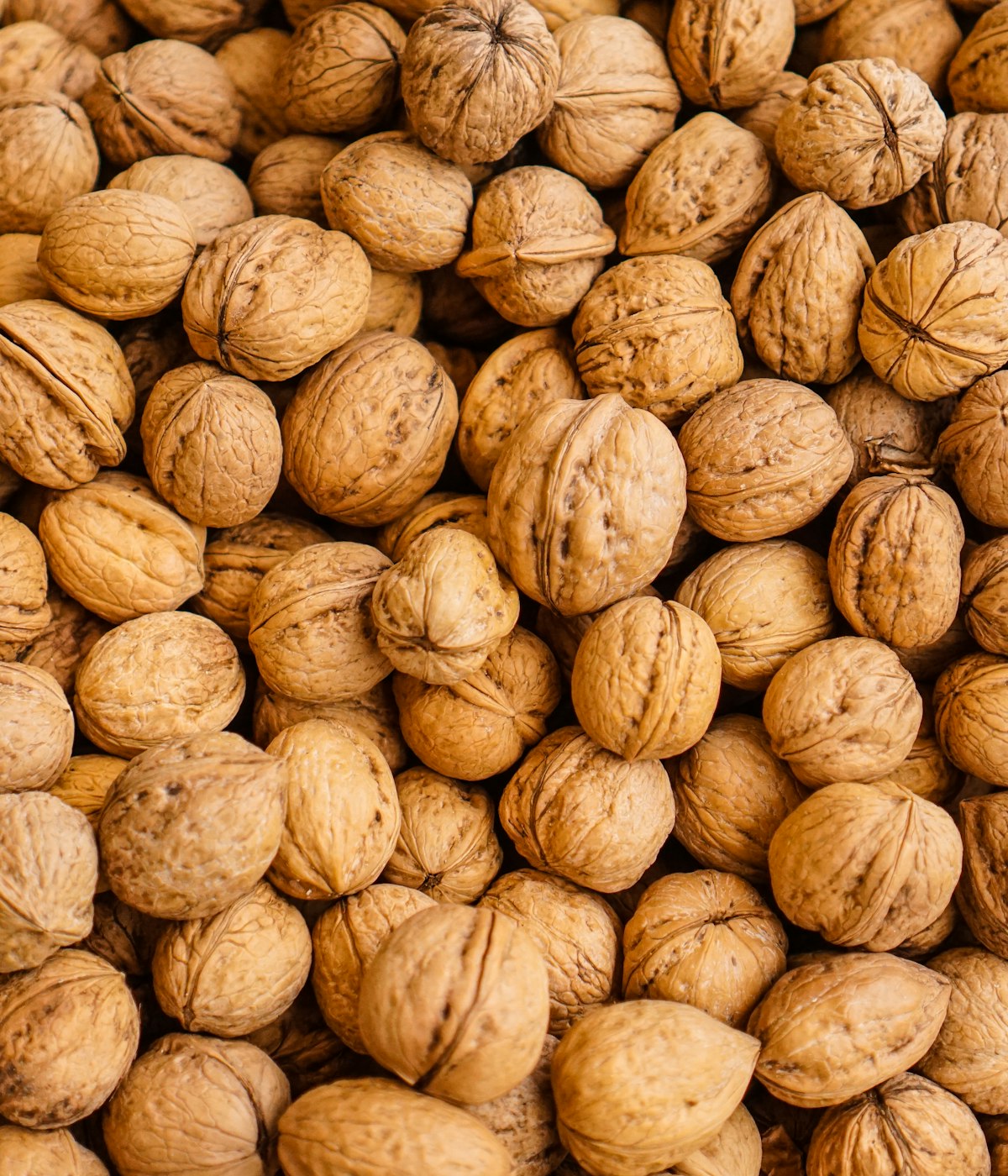 Paper-Shell Himalayan Walnuts — close crop