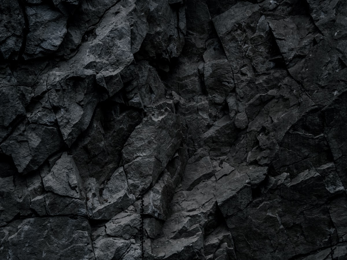 Purified Himalayan Shilajit Resin — from above