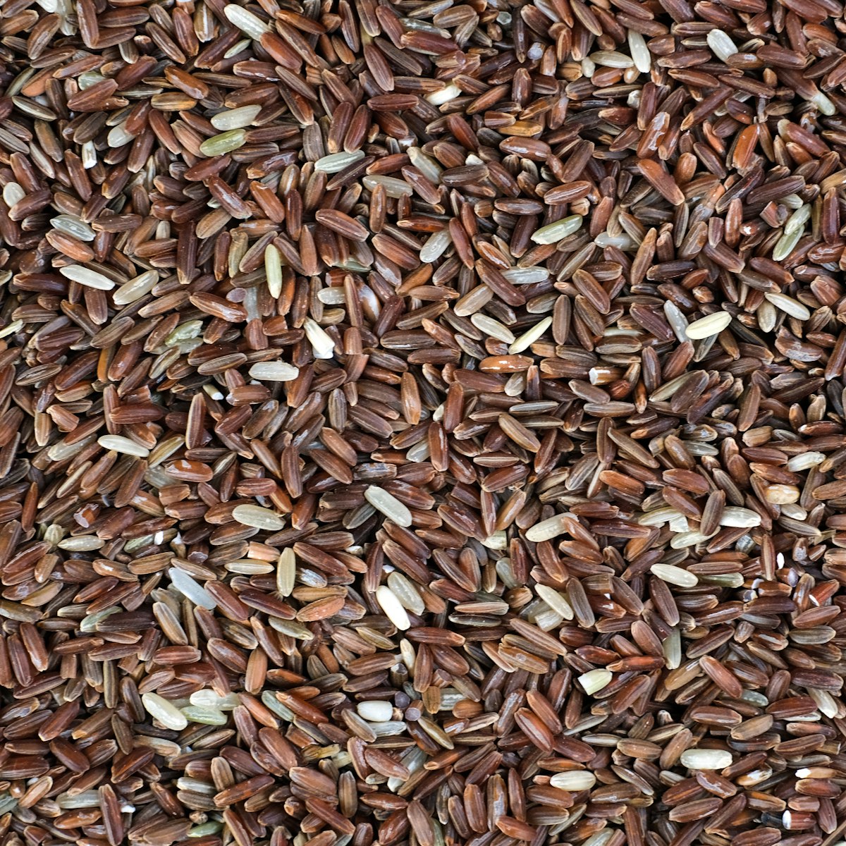Red Himalayan Rice