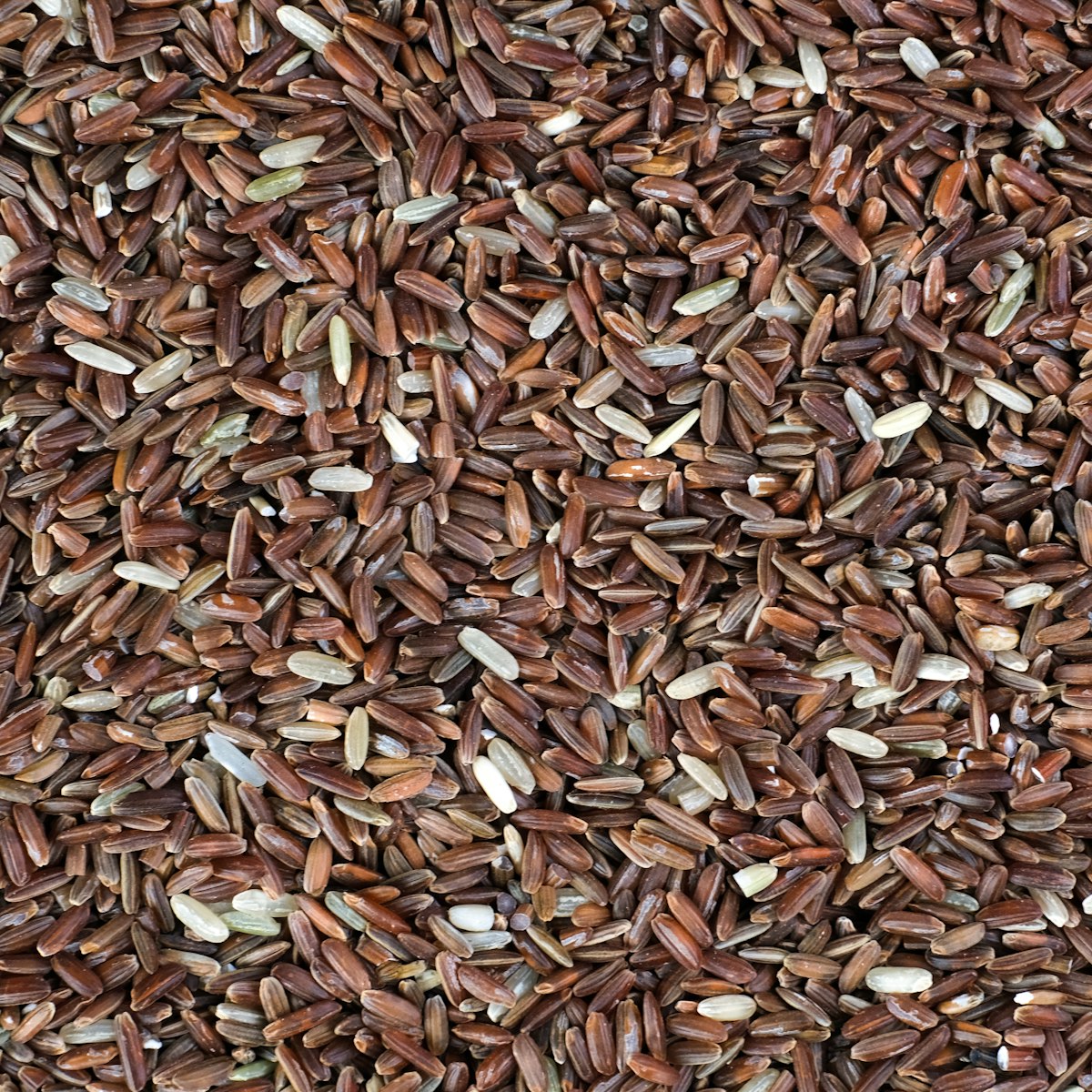 Red Himalayan Rice — texture detail