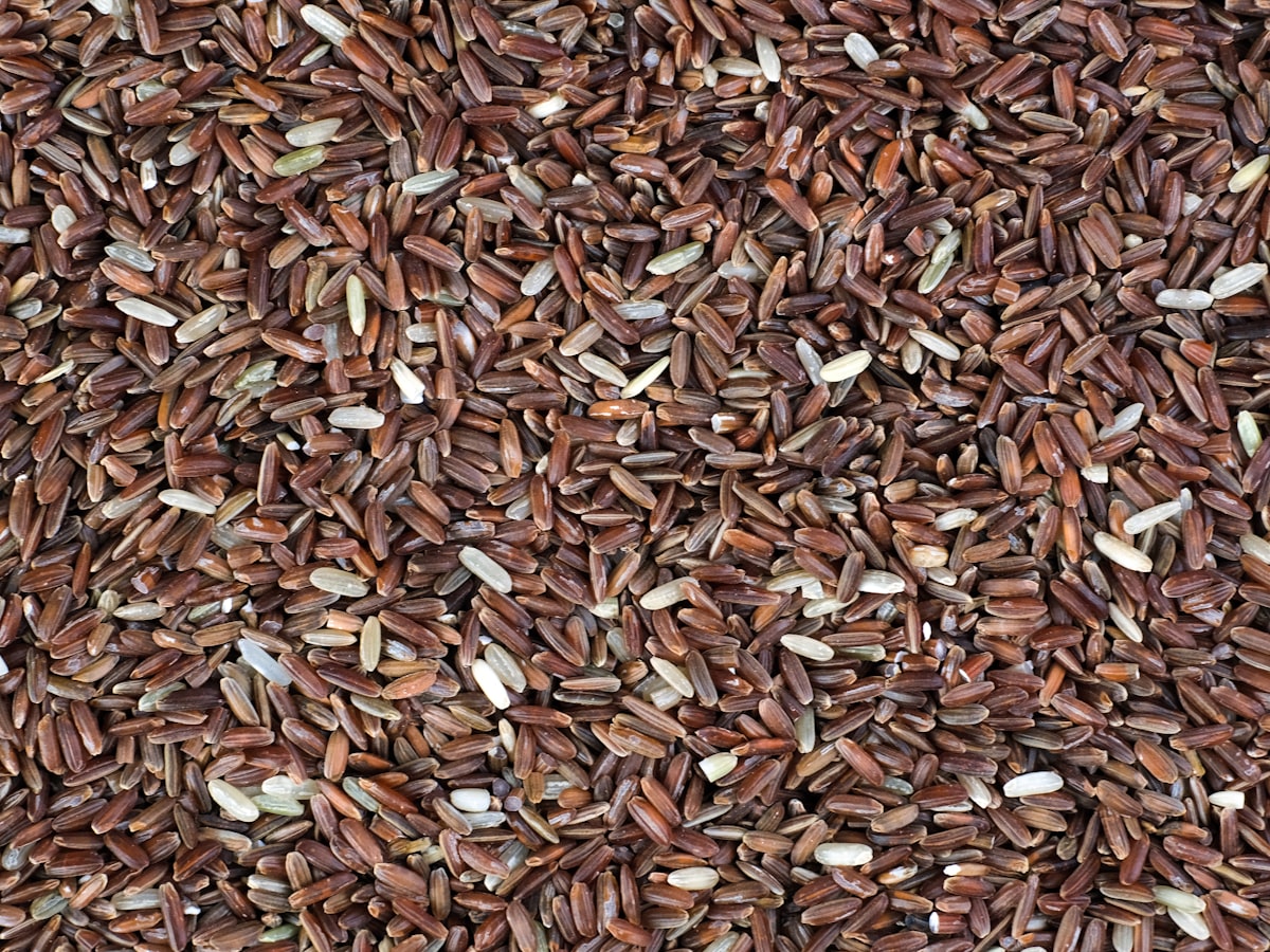 Red Himalayan Rice — from above