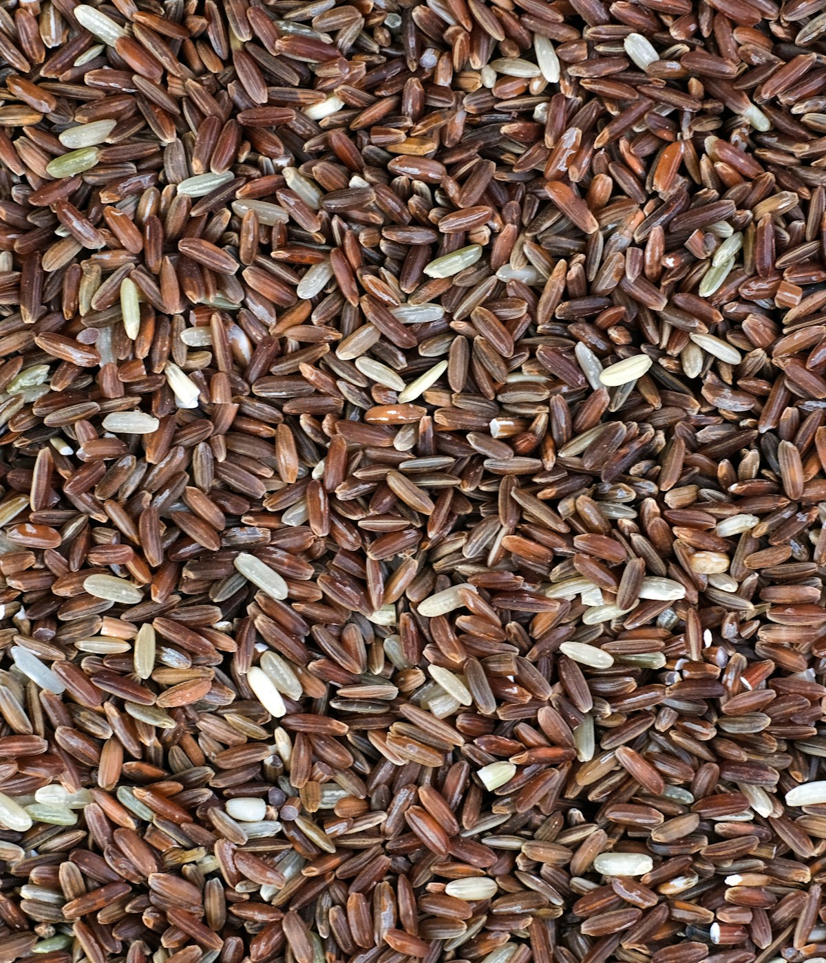 Red Himalayan Rice — close crop