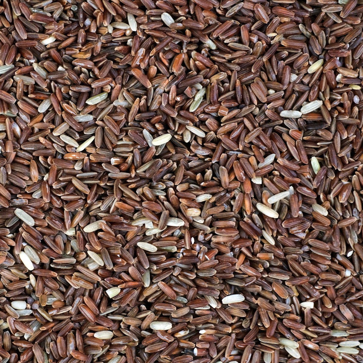 Red Himalayan Rice — side view