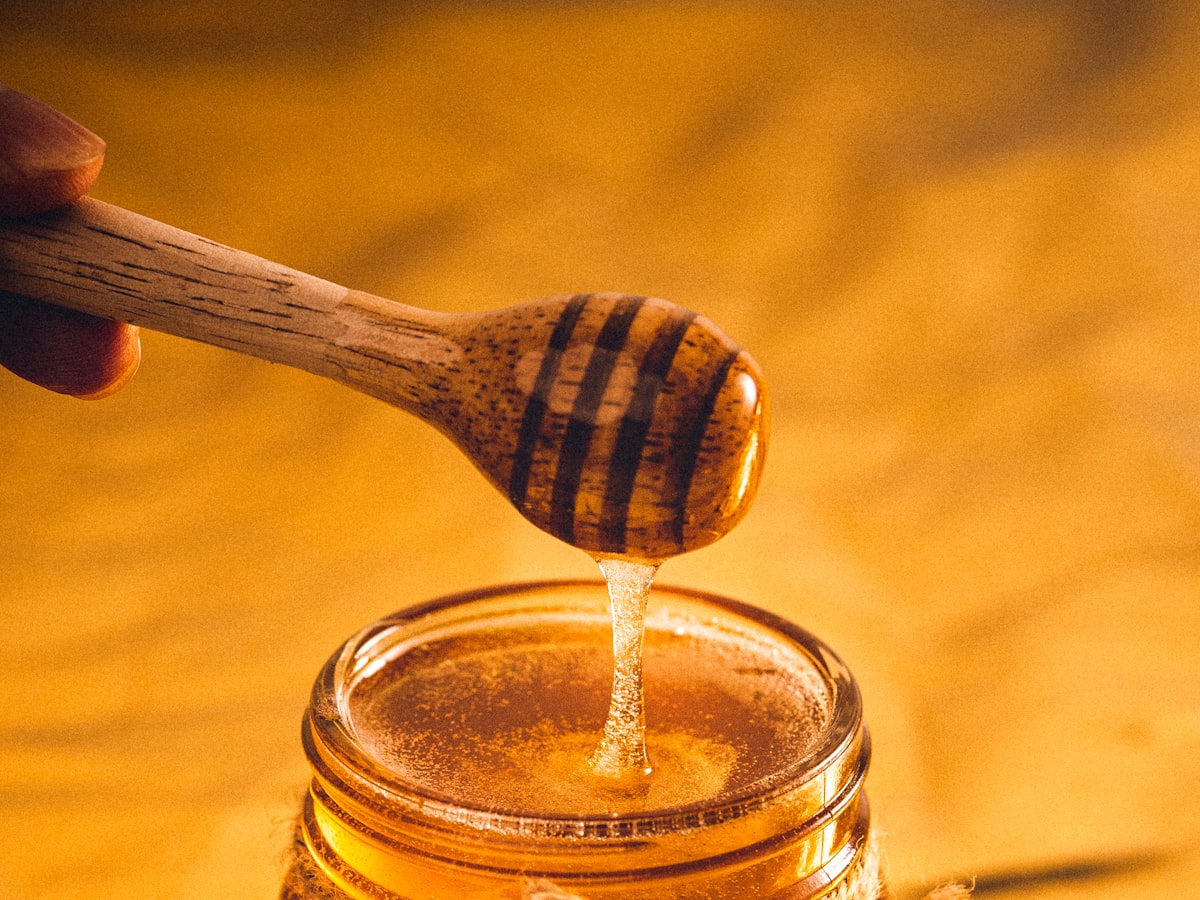 Wild Forest Honey — from above